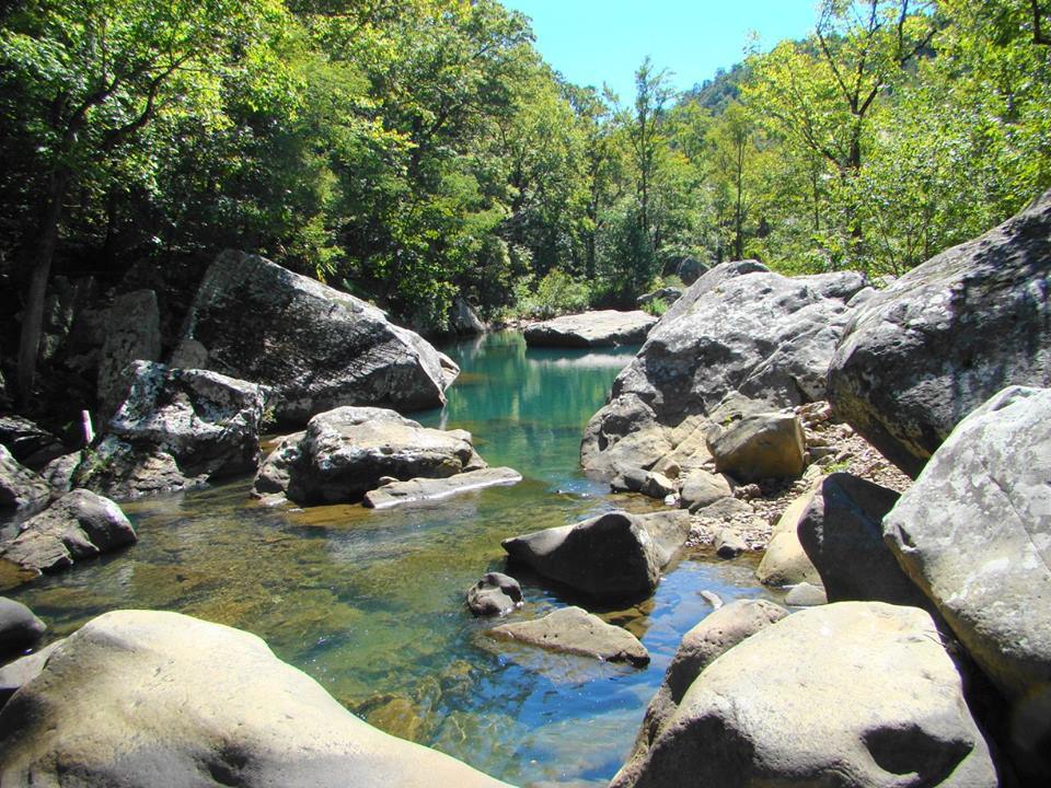 ozark national forest