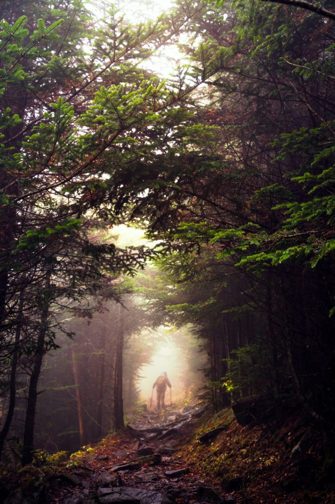 Hiker on Appalachian Trail