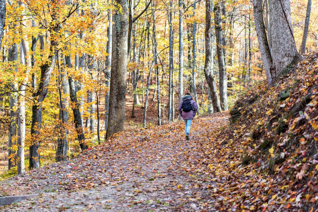 woman walking in a forest